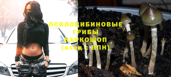 ешки Беломорск