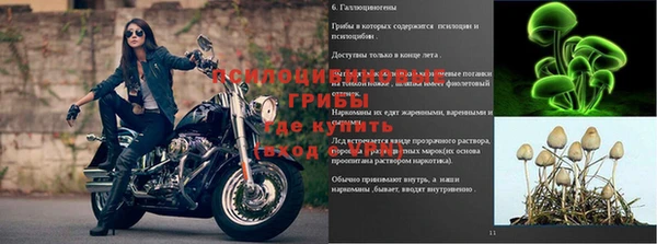 ешки Беломорск